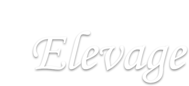 Restaurant Elevage